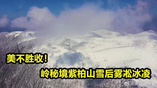 海口市市场监督管理局开展电子秤专项整治工作