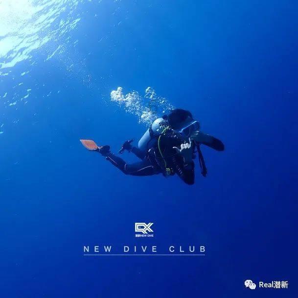 逗小猴开心系列195