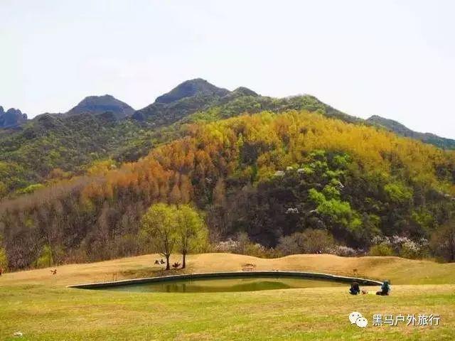 年轻人爱上了越剧！《新龙门客栈》为何火出圈？