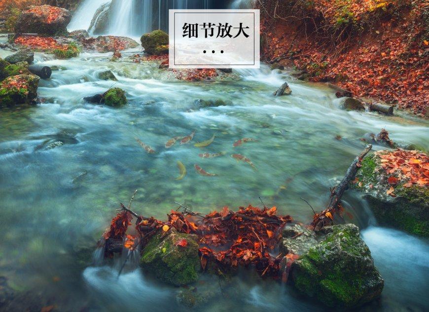 山东聊城东昌府光彩社区坐标东经?北纬?