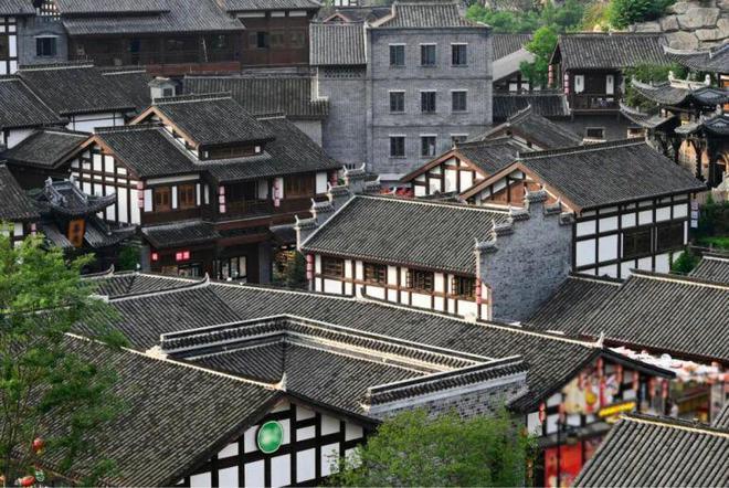 森林的奇迹